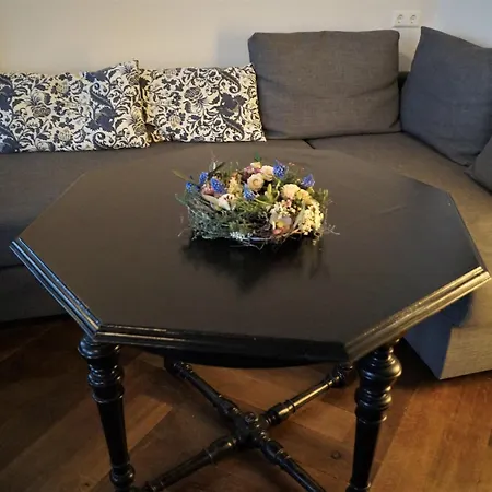 Apartment Ludwigshoehe *